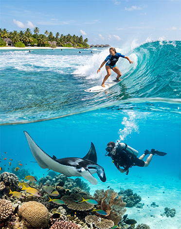 Surfing